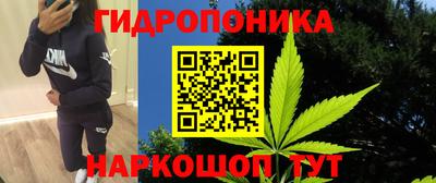 тгк Рыбинск
