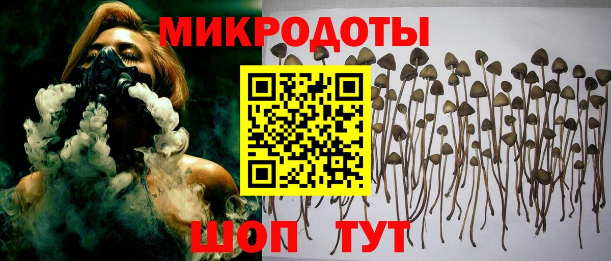 Псилоцибиновые грибы прущие грибы Орёл